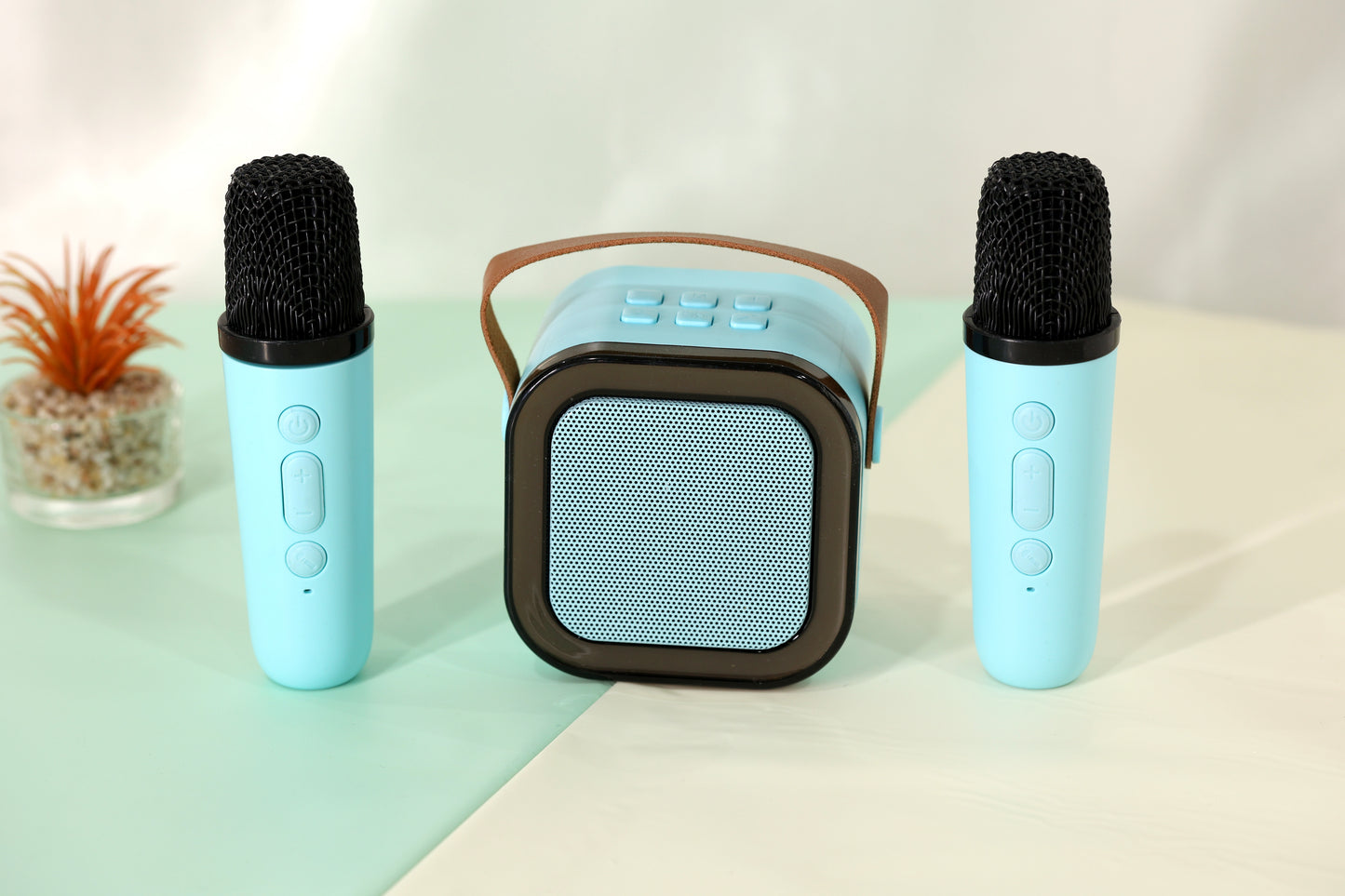 Portable Bluetooth Speaker with Dual Wireless Microphones
