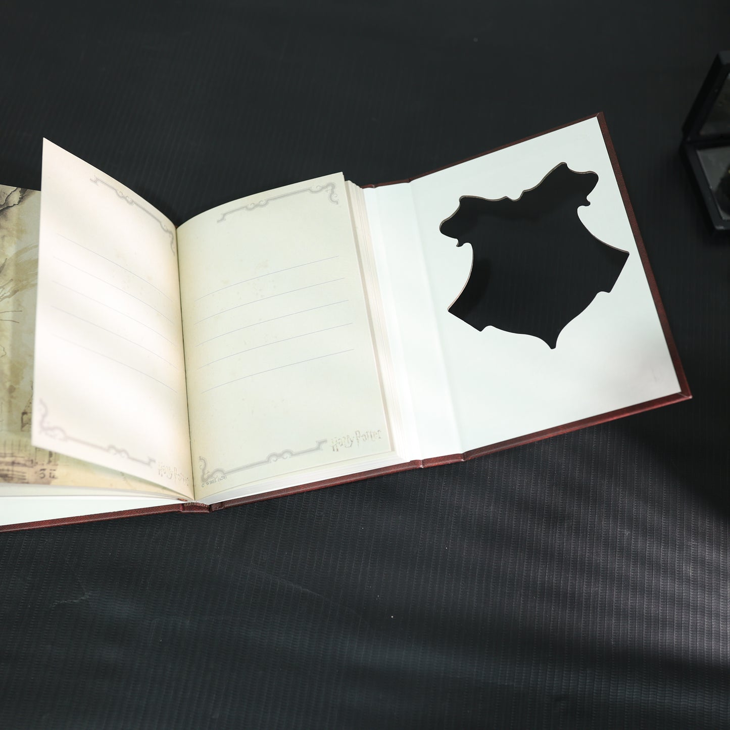 Harry Potter Magical Moments Diaries – Hogwarts & Together Edition