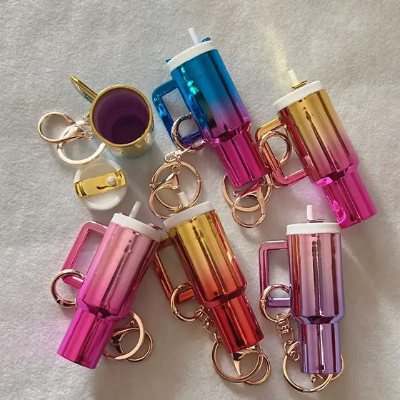 Holographic Stanley Design Keychains (random color)