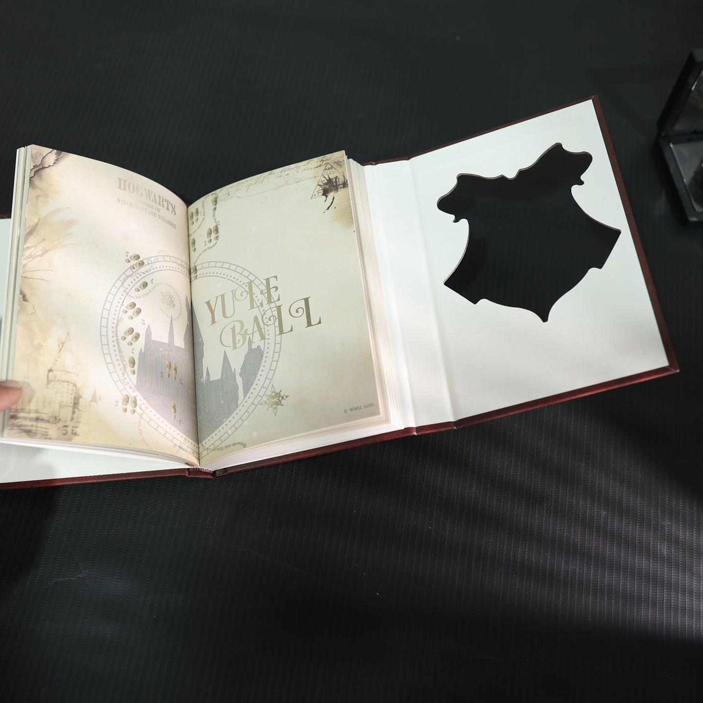 Harry Potter Magical Moments Diaries – Hogwarts & Together Edition