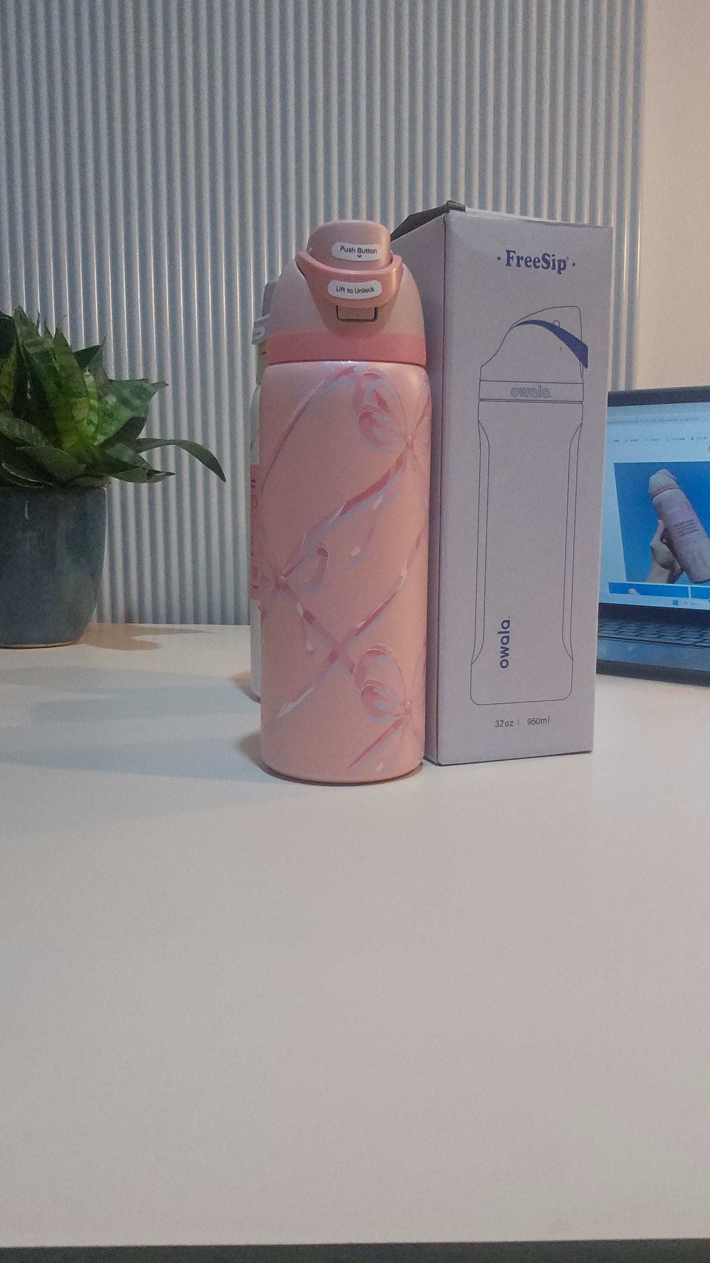 The Gift Fairy.                        Owala FreeSip Stainless Steel Water Bottle 32oz,(Sugar Plum Fairy)