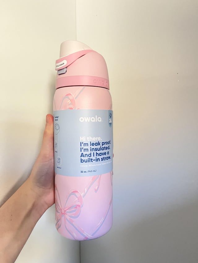 The Gift Fairy.                        Owala FreeSip Stainless Steel Water Bottle 32oz,(Sugar Plum Fairy)
